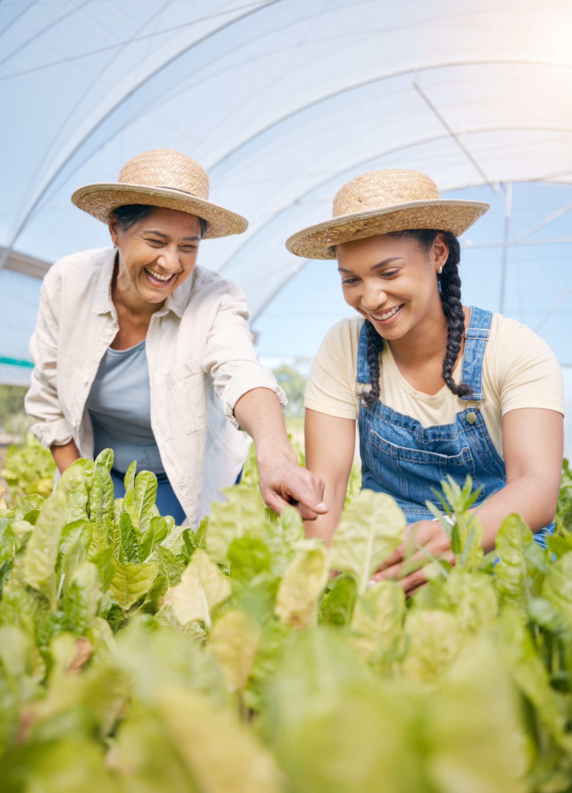 Farm to freight quality